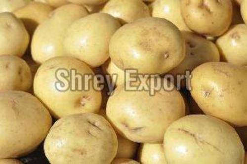 Fresh Brown Potato for Cooking