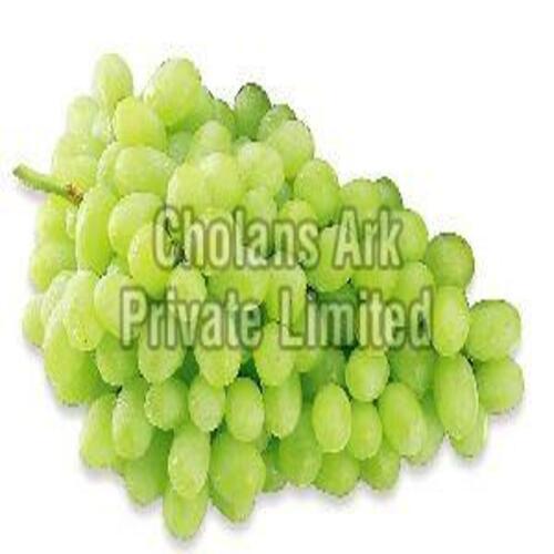 Organic Fresh Green Grapes Fruits