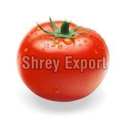 Fresh Red Tomato for Cooking