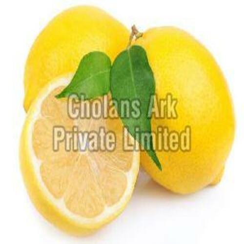 Fresh Yellow Lemon for Food