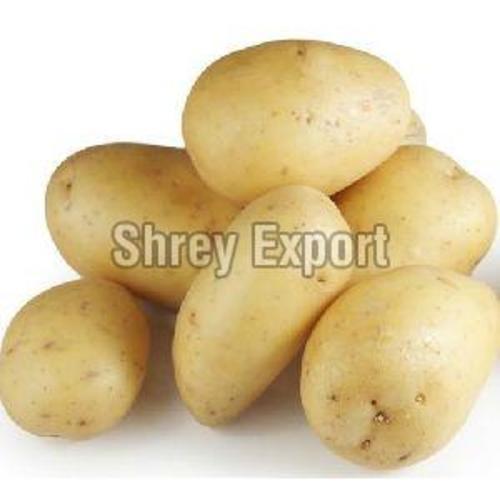 Fresh Yellow Potato for Cooking