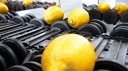 Automatic Lemon Grading Sorting And Packing Machine Warranty: Manufacturer Warranty