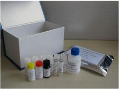 Enterokinase Elisa Kit