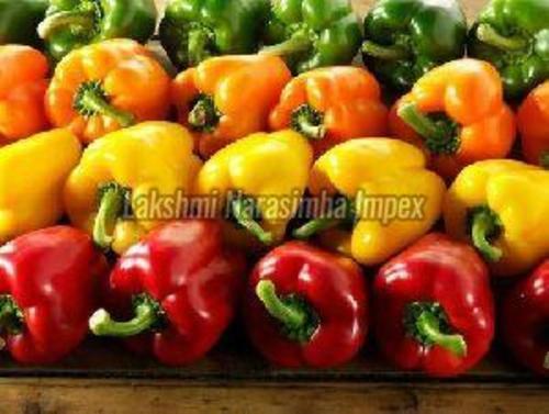 Fresh Capsicum for Cooking