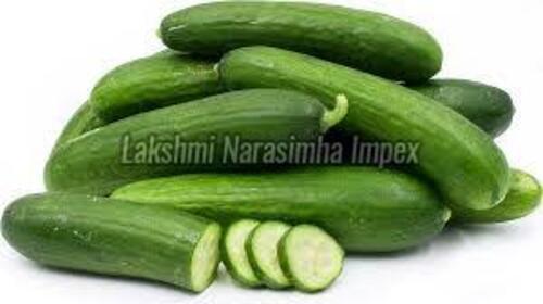 Fresh Green Cucumber for Food