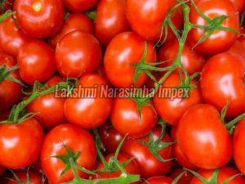 Fresh Natural Red Tomato