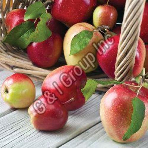  ताजे लाल सेब के फल