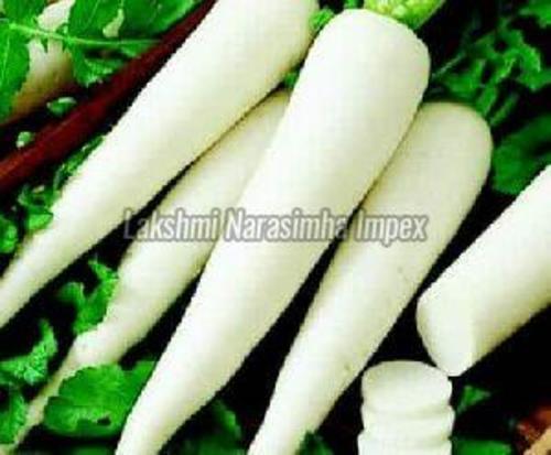 Fresh White Radish for Cooking