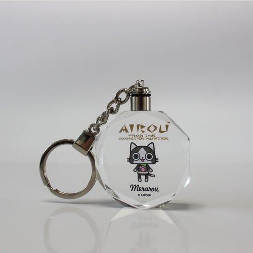 LED Keyholder - Glossy Finish Lightweight Plastic and Stainless Steel Design | Perfect for Key Chains and Other Applications