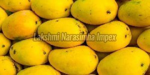 Organic Yellow Fresh Mango Fruits