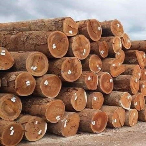 High Quality Round Teak Wood Usage: Outdoor