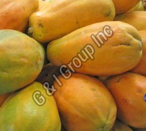 Yellow Fresh Papaya Fruits