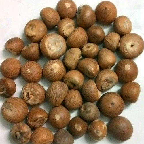 100% Dried Betel Nut