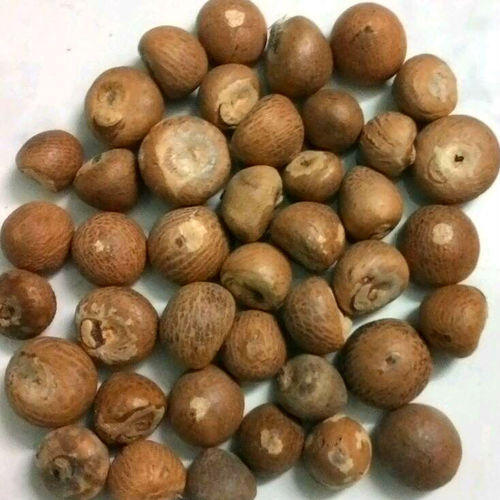 Brown 100% Dried Betel Nut