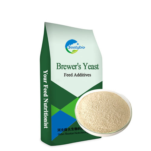 Brewer Yeast Powder Saccharomyces Cerevisiae