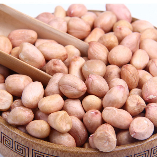 Raw Peanut - Admixture: 1% Max, Damage/Splits: 2% Max, Moisture: 7% to 8% | Good Quality, 100% Natural, Common Cultivation, Raw Processing