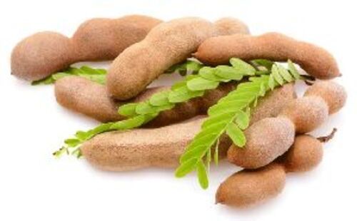 Brown Fresh Tamarind Pods