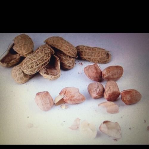 Fresh and Organic Peanuts Kernels
