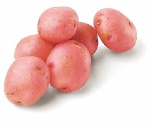 red potatoes