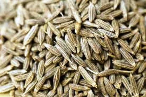 Indian Origin Cumin Seeds