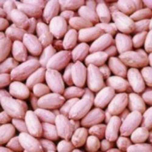 Superior Healthy Groundnut Seeds