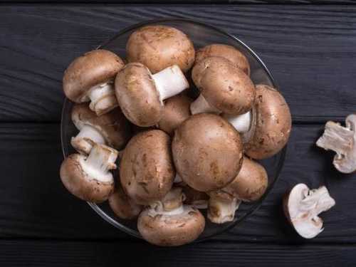 A Grade Button Mushroom