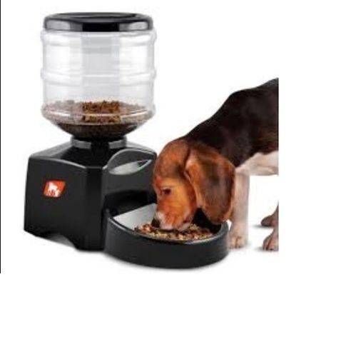 automatic dog food dispenser