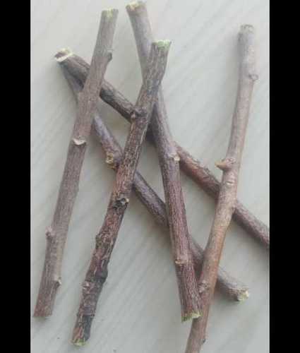 Natural Herbal Neem Datun