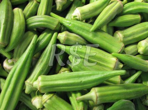 Fresh Green Okra For Cooking Preserving Compound: Cool And Dry Place