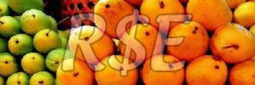 RSE Baiganpally Mango Fruits