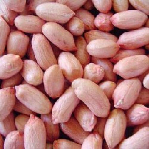 Dried Brown Groundnut Kernels