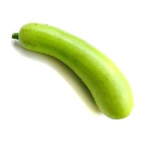 Fresh Bottle Gourd For Cooking Preserving Compound: Cool And Dry Place