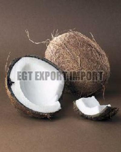 A Grade Brown Fresh Coconut