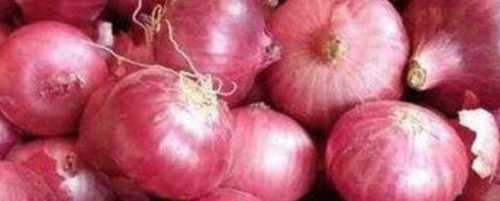 A Grade Fresh Red Onion