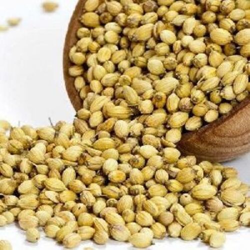 Common Brown Coriander Seeds For Food