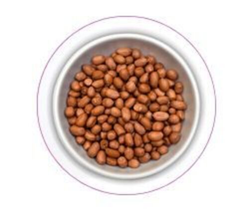 Brown Groundnut Seeds for Food