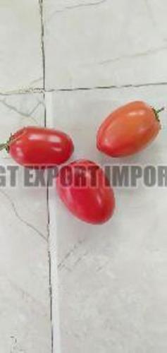 Fresh Hybrid Tomato for Cooking
