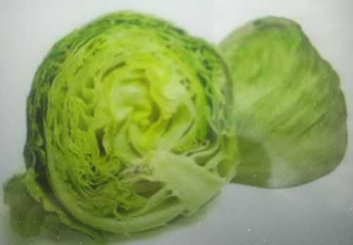 Fresh Organic Iceberg Lettuce