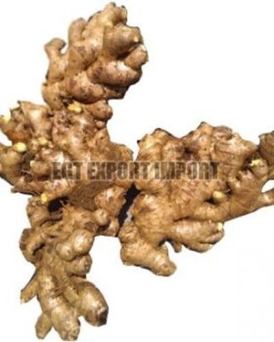 Himachil Unwashed Ginger For Food