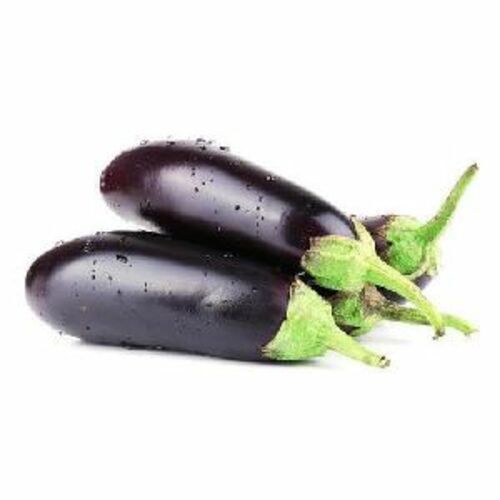 Fresh Organic Brinjal For Cooking Preserving Compound: Cool And Dry Place