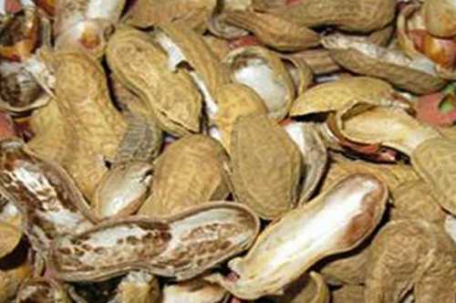 Dried Groundnuts Shell