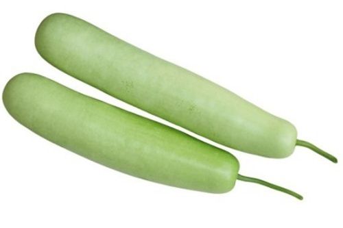 Fresh Bottle Gourd For Cooking Preserving Compound: Cool And Dry Place