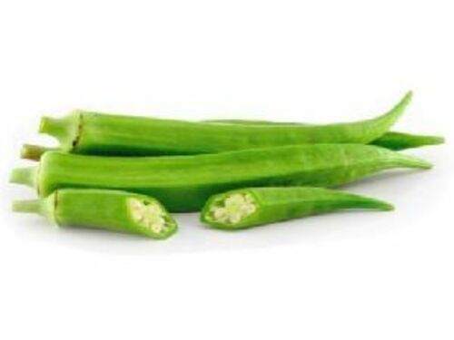 Fresh Green Okra For Cooking Preserving Compound: Cool And Dry Place