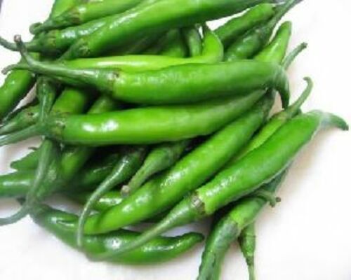 Fresh Natural Green Chilli