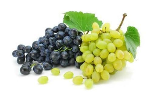 Green & Black Fresh Grapes