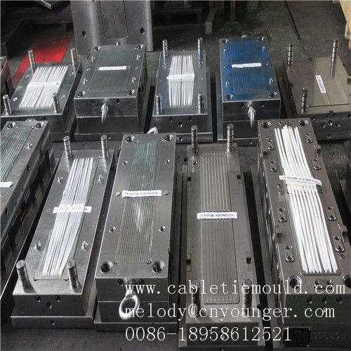 Metal Nylon Cable Ties Mould