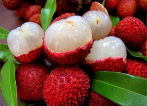 Red Fresh Litchi Fruits