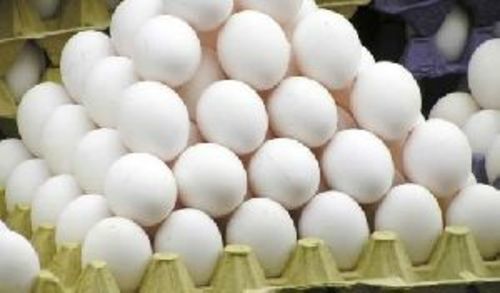 Chicken Egg Health Food