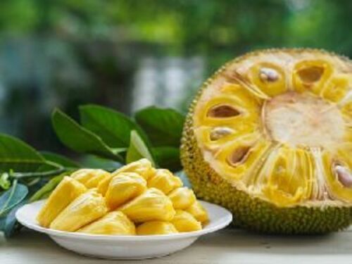 Fresh Green Jackfruit - Low-Calorie 95, High-Potassium 448 Mg | Chopped, Large, Cooked, Store in Cool and Dry Place