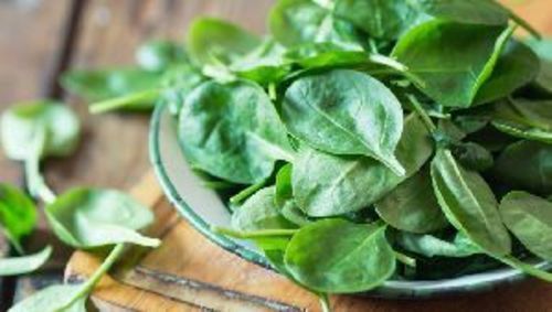 Fresh Green Spinach Leaves